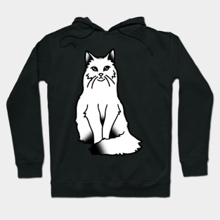 Fluffy Kitty Hoodie